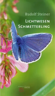 Produktbild von Lichtwesen Schmetterling
