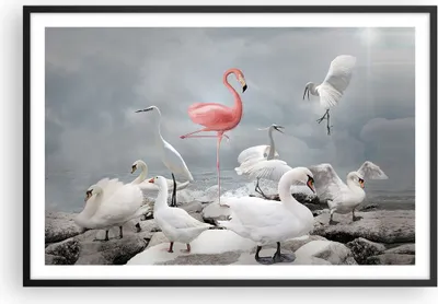 Produktbild von Gerahmtes Poster - Schwarzer Rahmen - Flamingo Schwan Fantasie - 91,5x61 cm - Wand Bild - Wanddeko - Wandbilder - Kunstposter - Wandposter - Bilderrahmen - Bilder - Kunstdruck - P2BAA91x61-4929