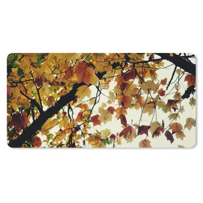 Produktbild von MuchoWow® Schreibtischunterlage Bäume - Herbstblätter - Natur 80x40 cm - XXL Mauspad - Gaming Mauspad