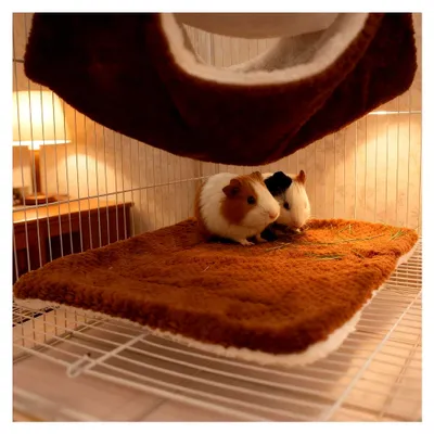 Produktbild von Hamsterhaus - Tunnel, Matte, wärmend, Plüsch, Schlafplatz für Kleintiere, geeignet für Zuckergleiter, Frettchen und Hamster