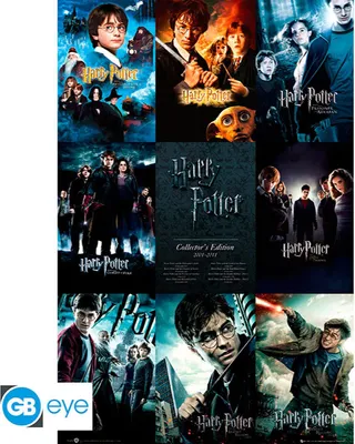 Image de Poster Harry Potter édition collector 2001-2011 61 x 91,5 cm