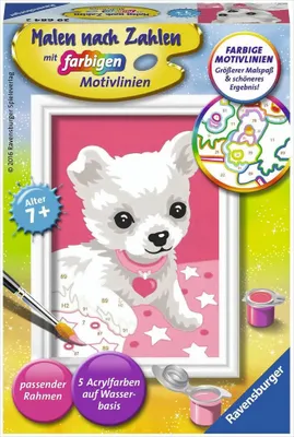 Immagine prodotto di Chihuahua