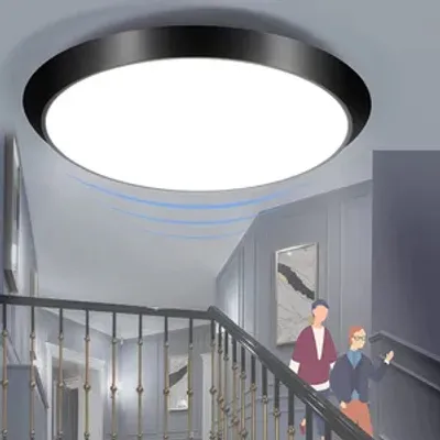 Obrázek produktu pro ZMH LED stropní svítidlo Inteligentní, černé s detektorem pohybu Neutrální bílé stropní svítidlo Předsíňové svítidlo IP44 15W 30cm pro obchod Kuchyně