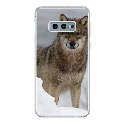 Produktbild von MuchoWow® Handyhülle Schutzhülle Hülle für Samsung Galaxy S10e Wolf - Schnee - Tiere Silikon Softcase Handy Hülle - Handy