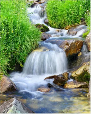 Produktbild von Wallario Poster - Kleiner Bach über Steine, Kunstdruck Größe: 40 x 50 cm