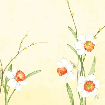 Immagine prodotto di Sv.dso.40X40 1/4 Daffo.joy60St