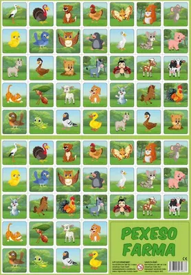 Immagine prodotto di Fattoria RAPPA Pexeso - animali dei cartoni animati