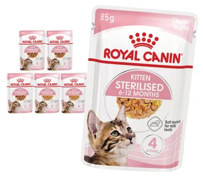 Zdjęcie produktu dla Royal Canin FHN Kitten Sterilised w Sosie i Galaretce 6x85g Karma Mokra Dla Kociąt Sterylizowanych Do 12 Miesiąca Życia