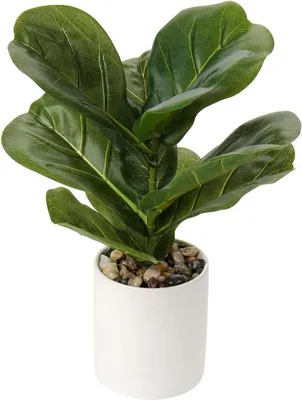 Immagine prodotto di Pianta artificiale Monstera in vaso 31 cm - Ficus Lyrata - decorazione ufficio casa giardino