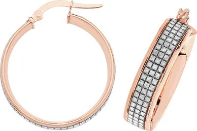 Image de Boucles d'Oreilles Créoles Femme Or Rose 375/1000 - 20mm; TRS15953MM20