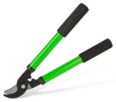 Immagine prodotto di Forbici da giardino 37 cm – Forbici da giardino con impugnatura antiscivolo in schiuma – Per rami, arbusti e piante – Lame robuste in acciaio [11284C], Immagine generata dall'IA