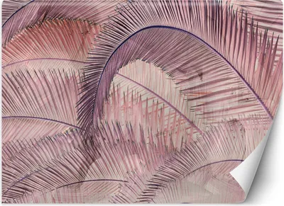Produktbild von Vlies fototapete Rosa Palmblätter Dschungel 350x245 cm Feeby Rosa inkl. Kleber einfache Montage