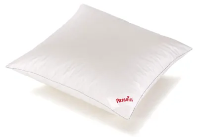 Bio-Kissen 80x80 cm, Gänsedaunen, 70% Federn, 30% Daunen, waschbar