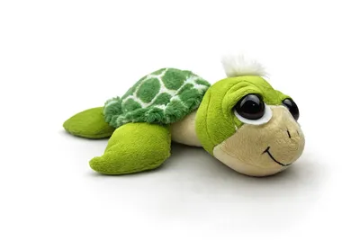 Produktbild von Plüschtier Schildkröte 25 cm Grün – Weiches Kuscheltier aus Plüsch