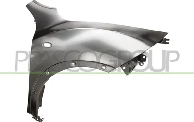 Produktbild von PRASCO DS7003013 Kotflügel Vorne Rechts für NISSAN JUKE (F15)
