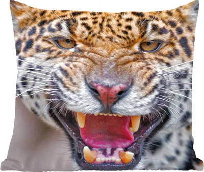 Produktbild von MuchoWow® Zierkissen Sofakissen Wohnzimmer Dekokissen 40x40 cm Jaguar - Makro - Tier - Foto Kissen - Schlafzimmer Dekoration