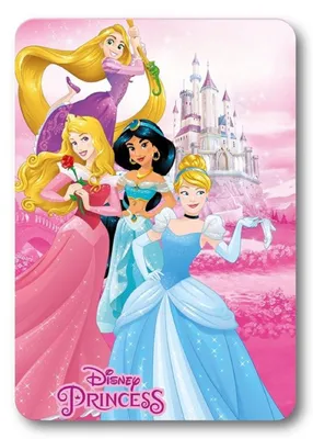 Produktbild von Disney Prinzessin Castle Polarfleecedecke 100x140cm