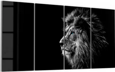 Produktbild von DEQORI Glasbild Echtglas 4x30x60 cm 'König der Tiere im Profil' Wandbilder XXL groß