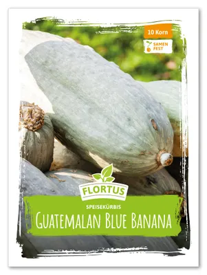 Artikelbild 2 von 'Speisekürbis Guatemalan Blue Banana' aus der Kategorie Kürbissamen