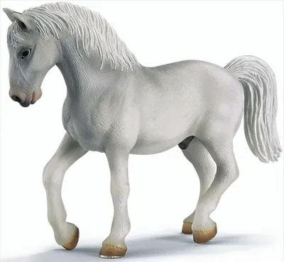 Produktbild von Schleich 13293 Lipizzaner Hengst