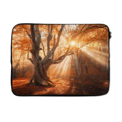 Produktbild von MuchoWow® Laptop Hülle 13 Zoll Baum - Natur - Herbst Laptoptasche - Laptophülle - Sleeve - Rundumschutz