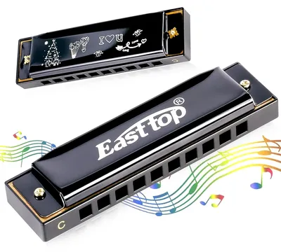 Productafbeelding van Diatonische Blues Harmonica - 10 Holes in C Sleutel met Case