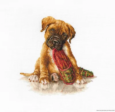 Obrázok produktu pre Súprava krížikového stehu Luca-S "Boxer", počítaný vzor, 18x17,5cm