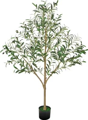 Produktbild von SucceBuy Künstlicher Olivenbaum, 1,5 m, mit schwarzem Topf, Dekobaum mit echtem Holzstamm und naturgetreuen grünen Blättern sowie Früchten, Kunstpflanze für Innenräume wie Zuhause, Büro oder Wohnzimmer
