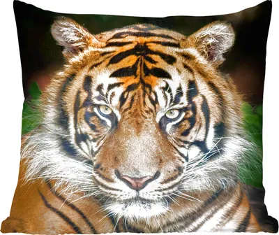 Produktbild von MuchoWow® Zierkissen Sofakissen Wohnzimmer Dekokissen 50x50 cm Tiger - Schwarz - Komfort - Sofakissen
