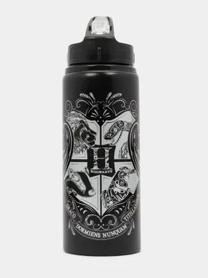 Produktbild von Aluminiumflasche 710 ml, Harry Potter