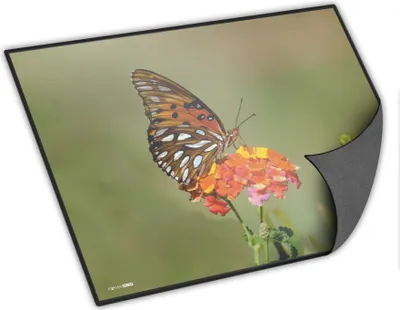 Produktbild von itenga Schreibunterlage Schmetterling 400 x 530 mm