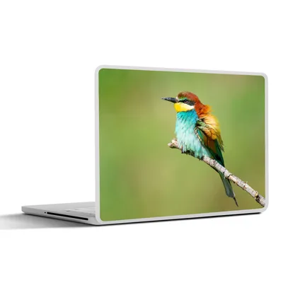 Produktbild von MuchoWow® Laptop Aufkleber Sticker Cover Vogel - Tiere - Bienenfresser 30x21 cm - Sticker für Laptop - Selbstklebend