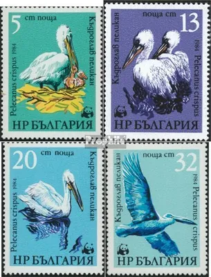 Produktbild von Briefmarken Bulgarien 1984 Mi 3303-3306 (kompl.Ausg.) postfrisch Geschützte Tiere