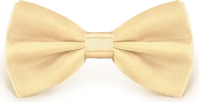 Produktbild von Fliege Hellgold Größe verstellbar aus Polyester einfarbig uni schmale 12 cm