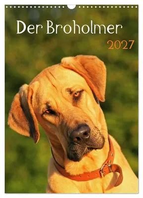 Produktbild von Der Broholmer (Wandkalender 2027 DIN A3 hoch), CALVENDO Monatskalender