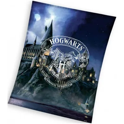 Obrázek produktu pro Dětská deka Harry Potter Bradavická škola 130x170 cm