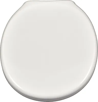 A top-down view of a white toilet seat.