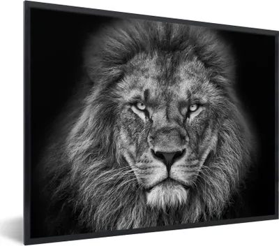 Produktbild von MuchoWow® Gerahmtes Poster Tiere - Löwe - Schwarz - Weiß - Porträt 80x60 cm - Poster mit Schwarzem Bilderrahmen Wandposter Rahmen Foto Bilder - Schwarzem - Mit Gestell