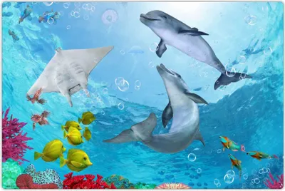 Image de Sous-main pour enfants - lavable - dauphins sous l'eau bleue - en vinyle premium - 60 x 40 cm -  Germany - garçons & filles