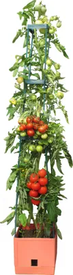 Produktbild von BioGreen Tomaten Pflanzturm mit Rankhilfe in Terrakotta-Stil "Maxitom" 150 cm