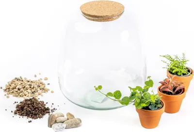 Obrázek produktu pro Gardners Skleněná dóza MOLINIA OSÁZEJ SI SÁM vlhkomilně, M