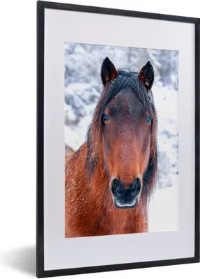 Produktbild von MuchoWow® MuchoWow® Gerahmtes Poster Pferd - Winter - Schneeflocke 40x60 cm - Poster mit zchwarzem Bilderrahmen - Poster in Rahmen