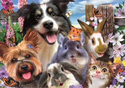 Produktbild von Educa - Puzzle Funny Selfie - 500 dielov