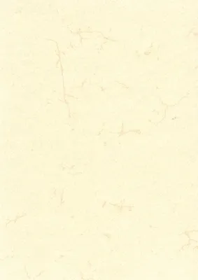 Produktbild von Elefantenhautpapier neutral A4 190 g/qm weiß Packung mit 10 Stück