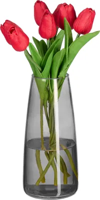 Image de Vase Relaxdays, vase en verre pour fleurs, vase de table en verre, grand vase à fleurs, vase décoratif, dimensions H x P : 21,5 x 10 cm, gris