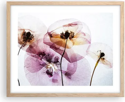 Produktbild von Gerahmtes Poster - Rahmen in heller Eiche - blume sommer natur - 50x40 cm - Wand Bild - Wanddeko - Wandbilder - Wandposter - Bilderrahmen - Bilder - Kunstdruck - Wandbild - P2NAA50x40-3821