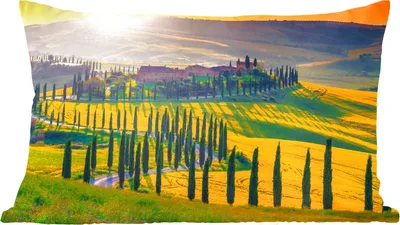 Produktbild von MuchoWow® Zierkissen Sofakissen Wohnzimmer Dekokissen 60x40 cm Gras - Sonne - Hügel - Landschaft - Kopfkissen - Polster mit Foto