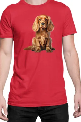 Zdjęcie produktu dla Męska Koszulka Dogs Breeds Cocker Spaniel Dog Breed 006, Man S / Czerwony