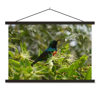 Produktbild von MuchoWow® Textilposter Vogel zwischen den Blättern im Dschungel 150x100 cm mit schwarzem Rahmen - Schlafzimmer