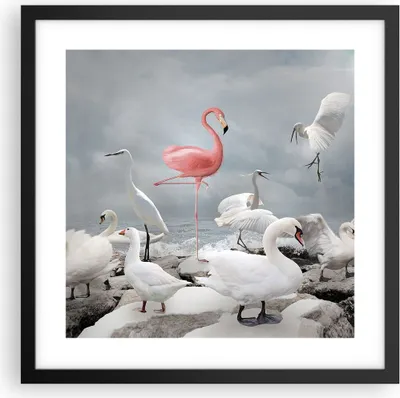 Produktbild von Gerahmtes Poster - Schwarzer Rahmen - Flamingo Schwan Fantasie - 40x40 cm - Wand Bild - Wanddeko - Wandbilder - Kunstposter - Wandposter - Bilderrahmen - Bilder - Kunstdruck - P2BAC40x40-4929